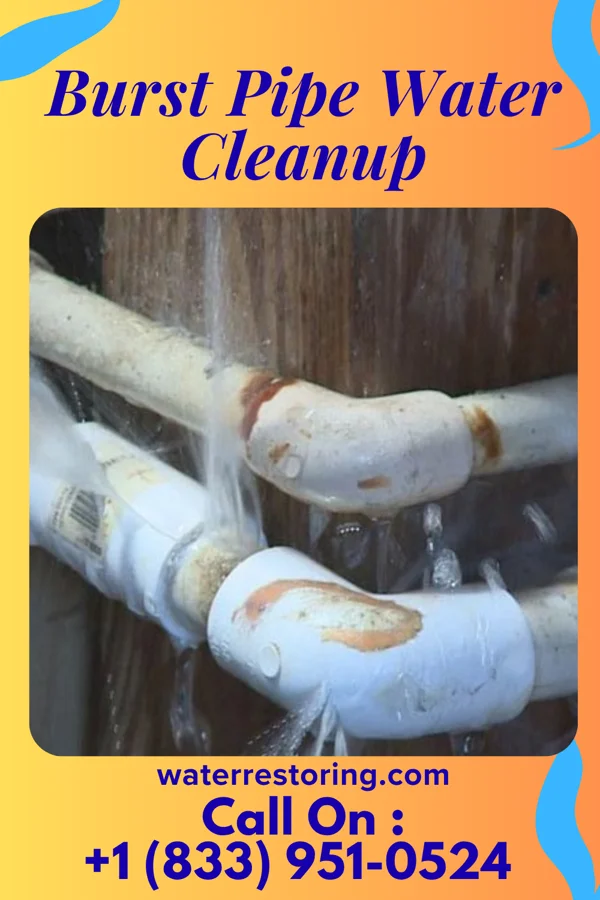 Burst Pipe Water Cleanup in Atkinson Mills, PA