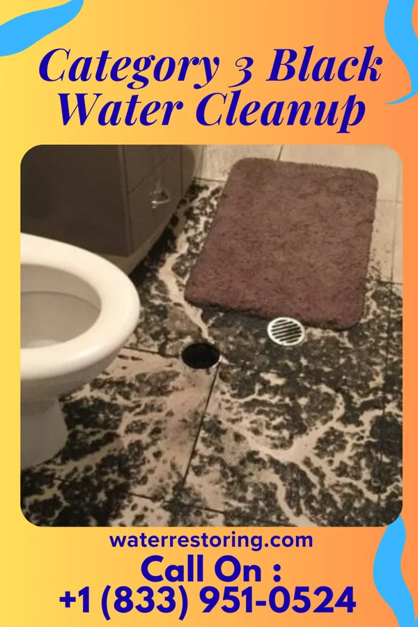 Category 3 Black Water Cleanup in Atkinson Mills, PA