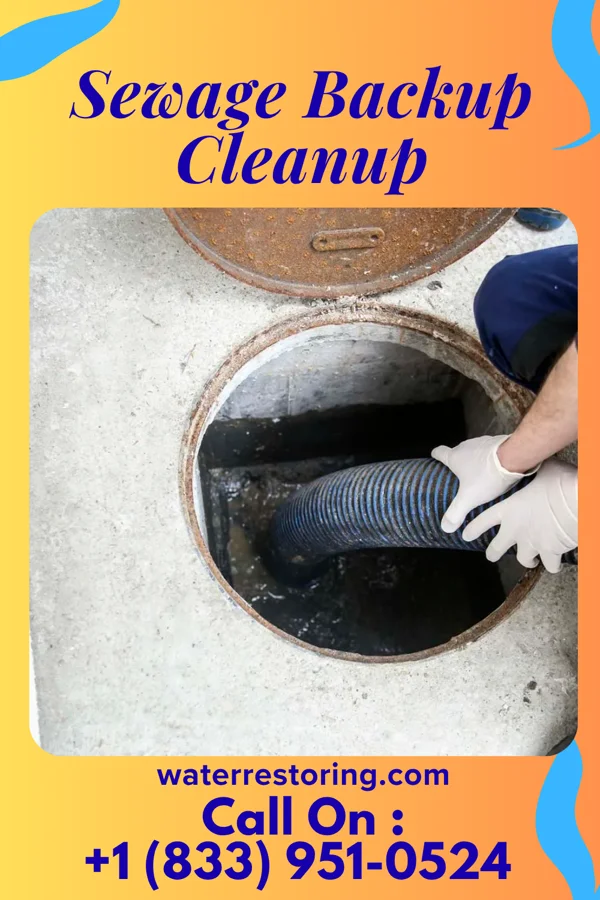 Sewage Backup Cleanup in Atkinson Mills, PA