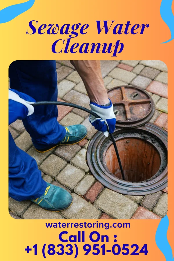 Sewage Water Cleanup in Atkinson Mills, PA